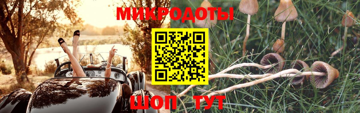 Псилоцибиновые грибы Magic Shrooms  Вход с VPN  хочу наркоту  Семилуки 